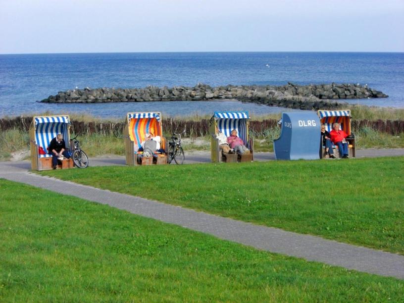 Ostsee Robbe