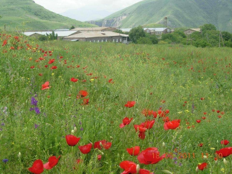 Azoyan Holiday Resort