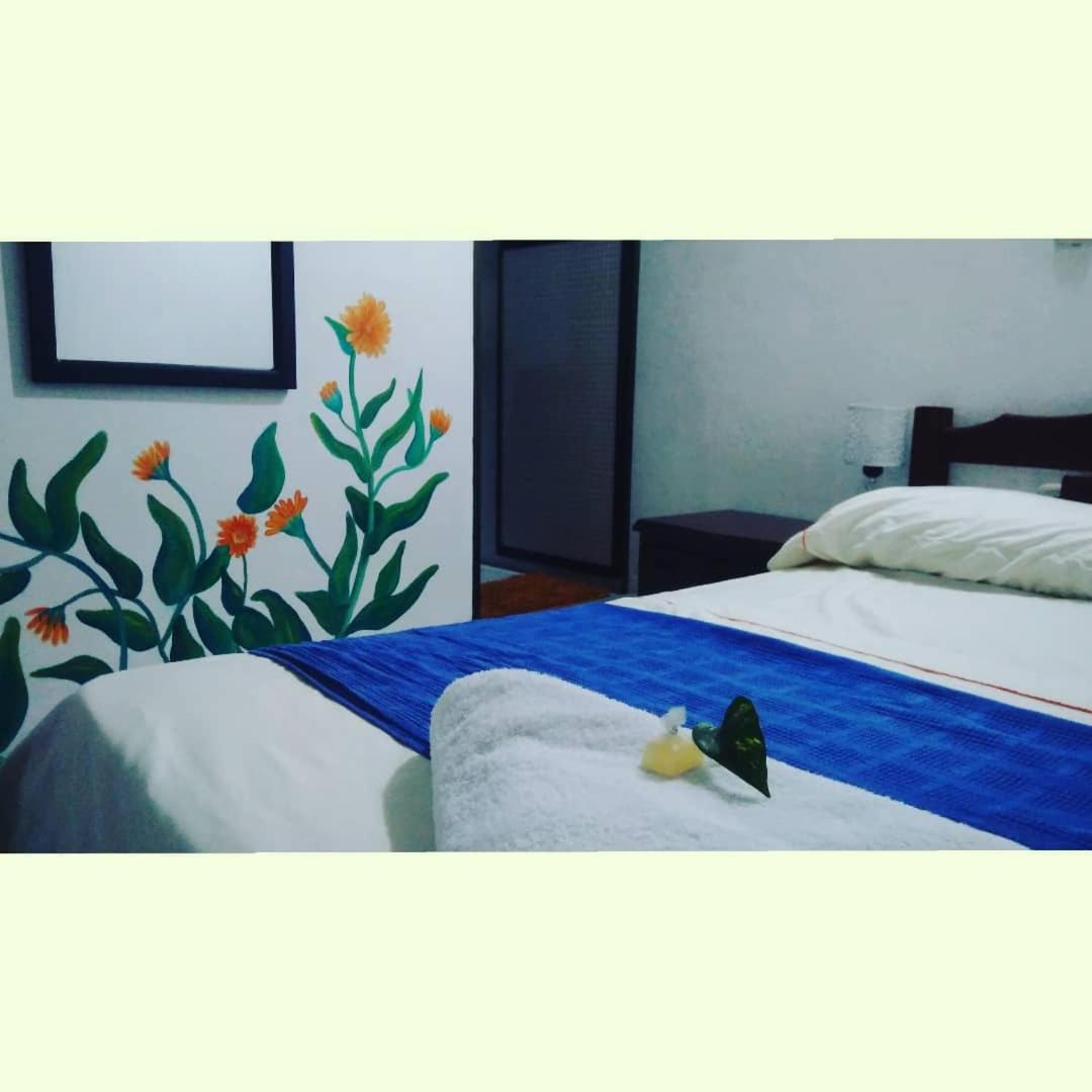 Casa Pacha