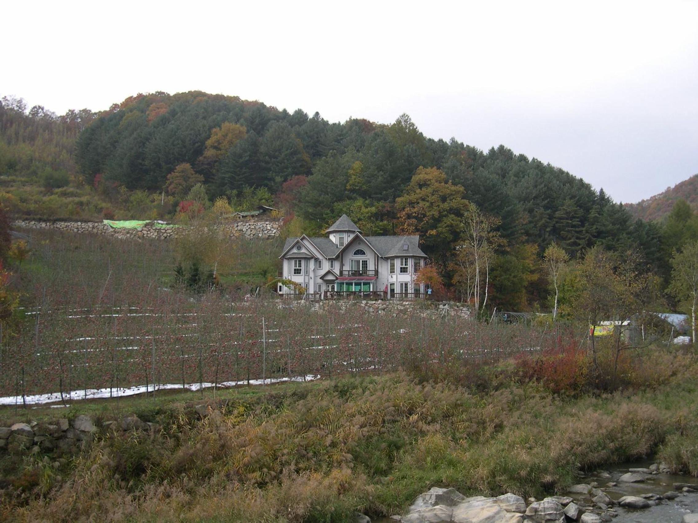 Happy Dream Pension, 평창군 - 14