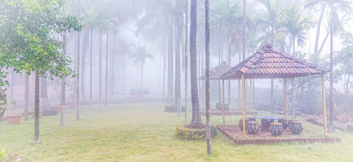 Livingstone Tranquil Woods, Ratnagiri view 3