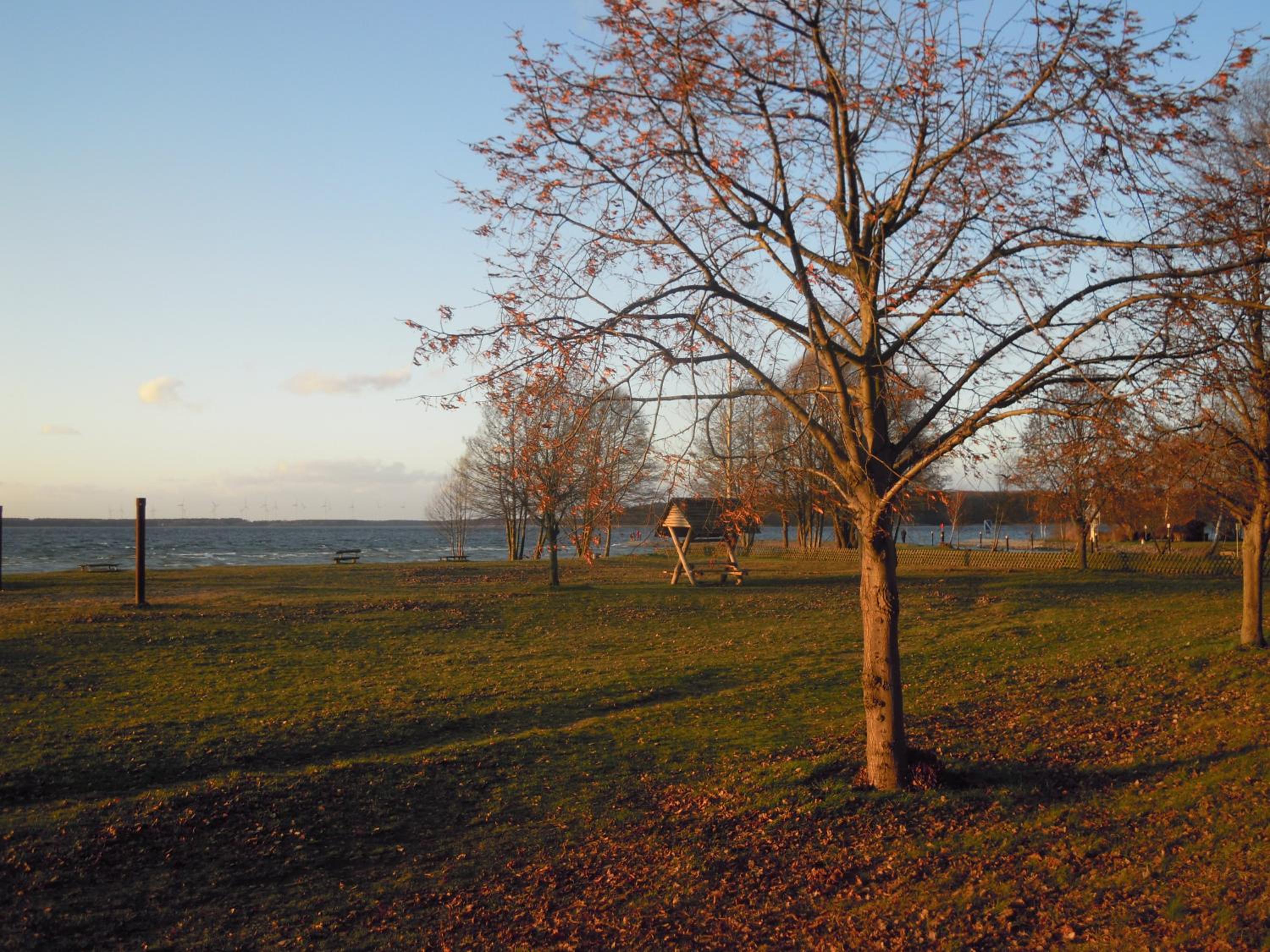 Lenzer Parkblick am Plauer See