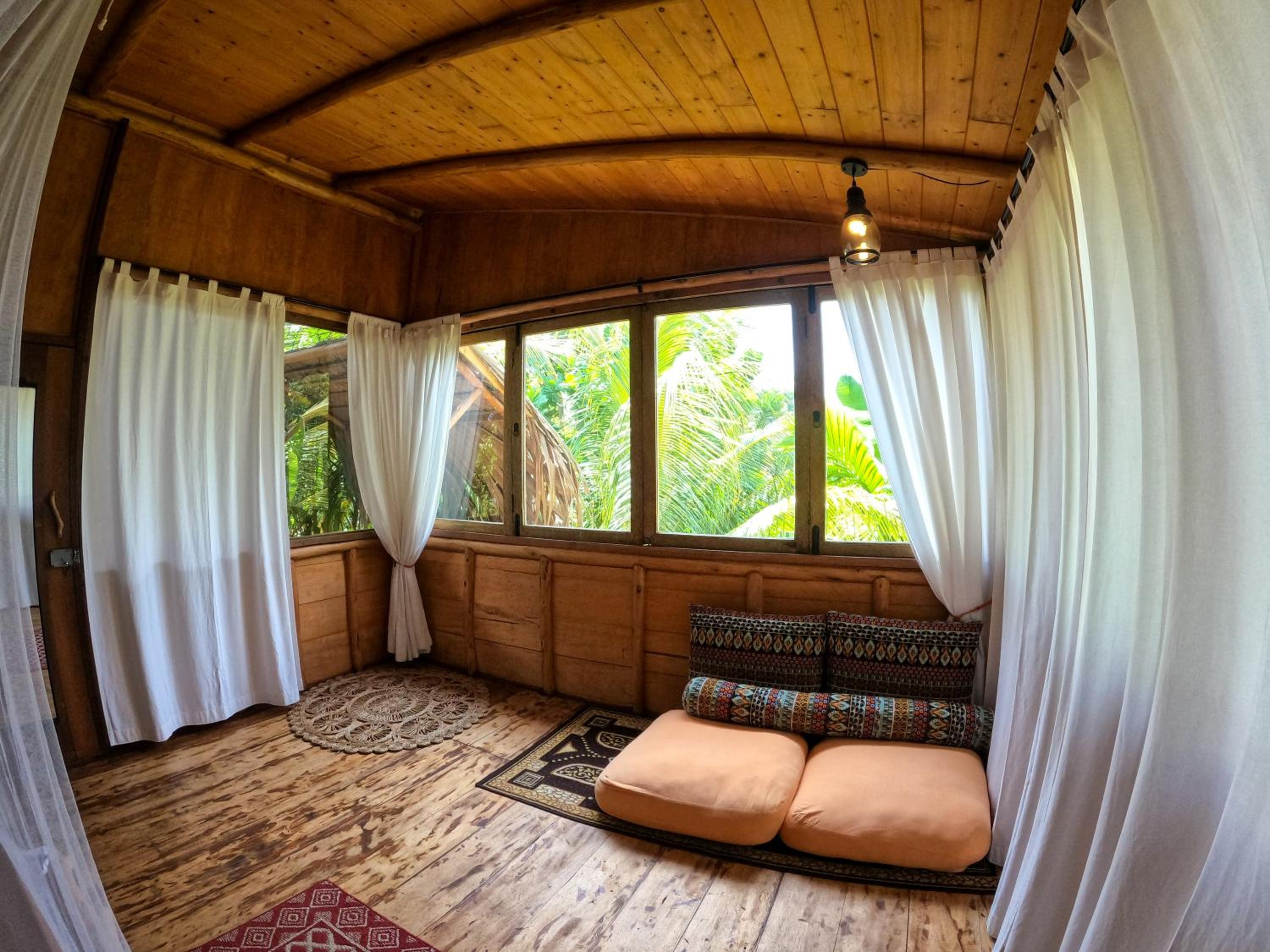 Photo 50