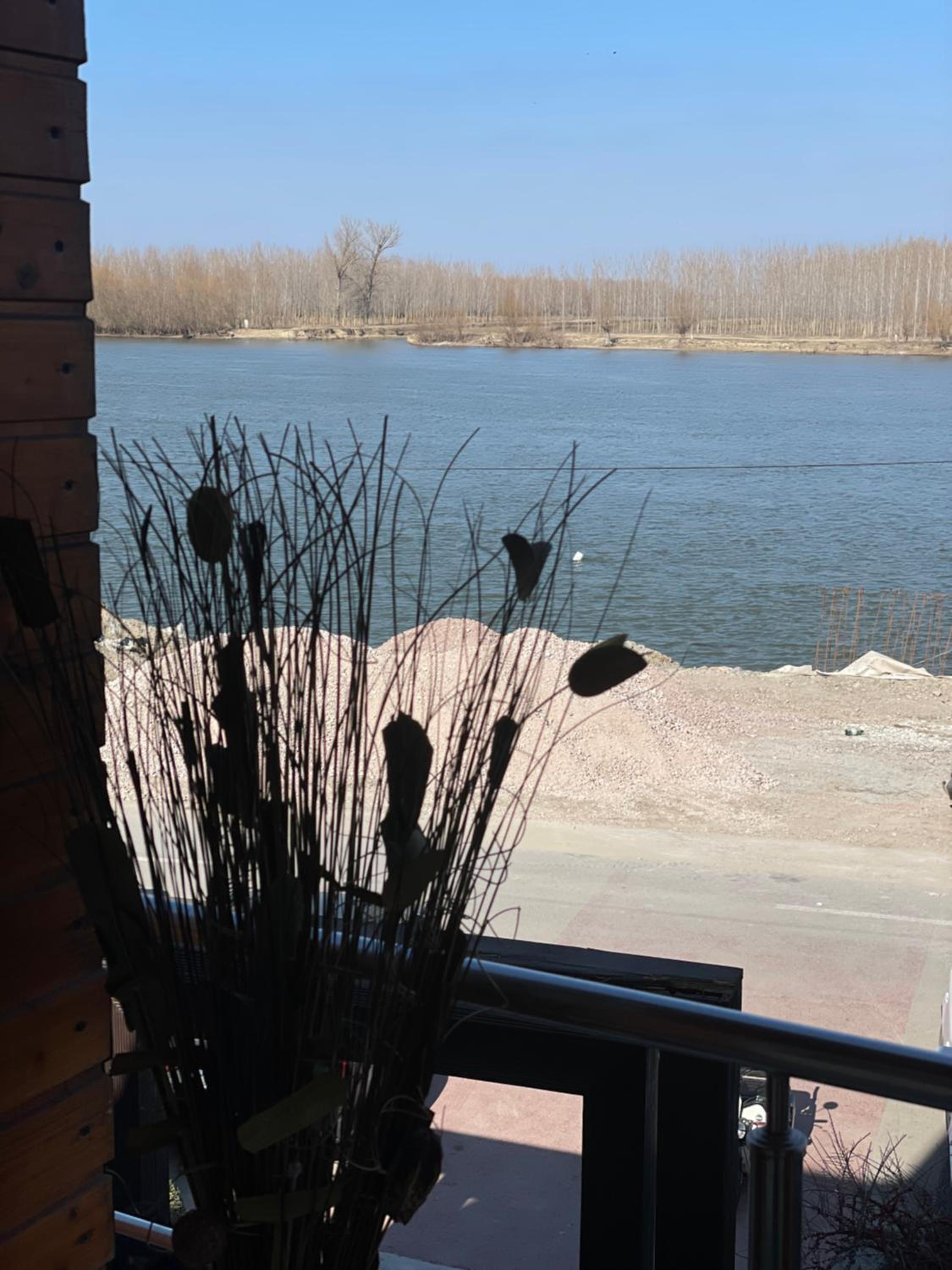 Photo 44
