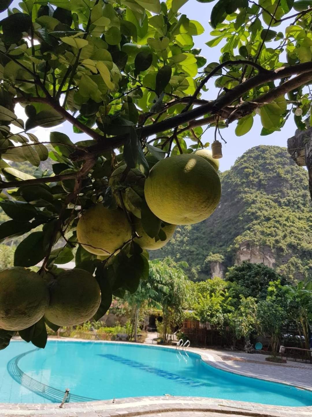 Hoa lu Eco Homestay
