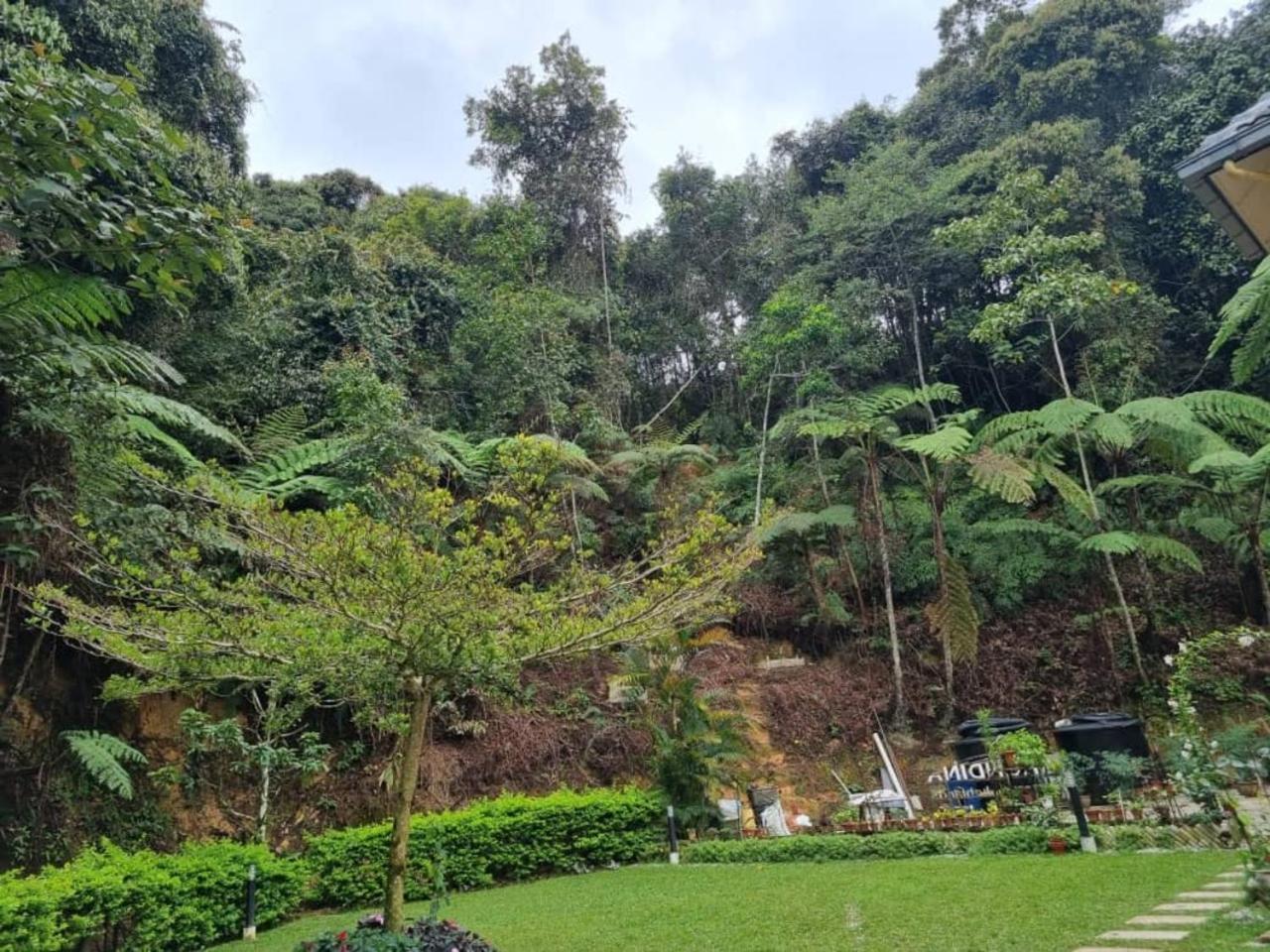 Highlanders Garden Guesthouse at Arundina Cameron Highlands