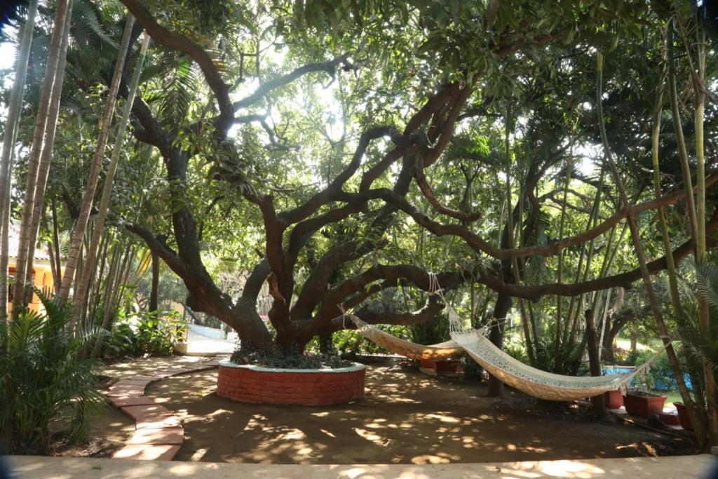 Outpost@Alibaug