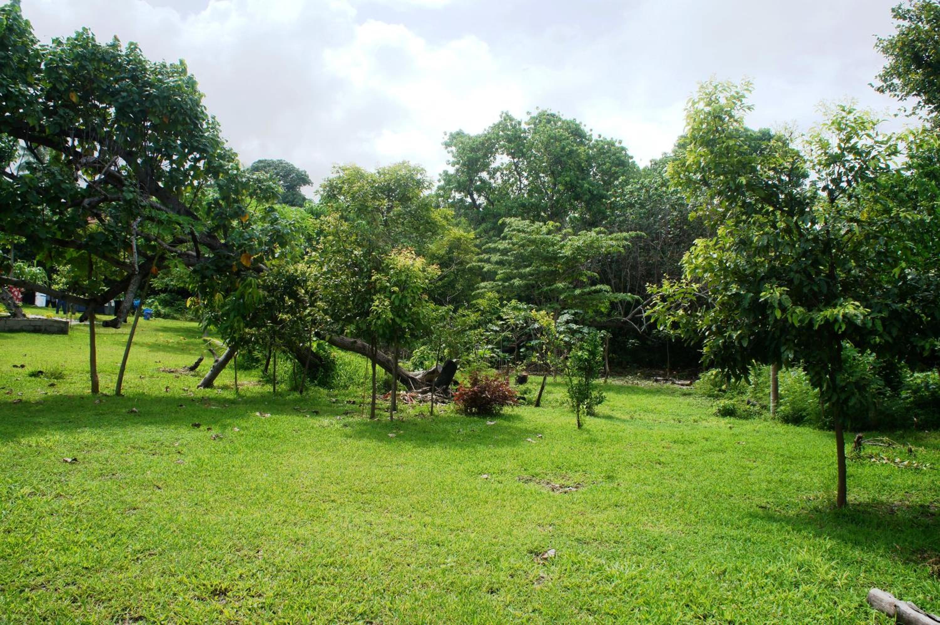 Alofa Beach Bungalows