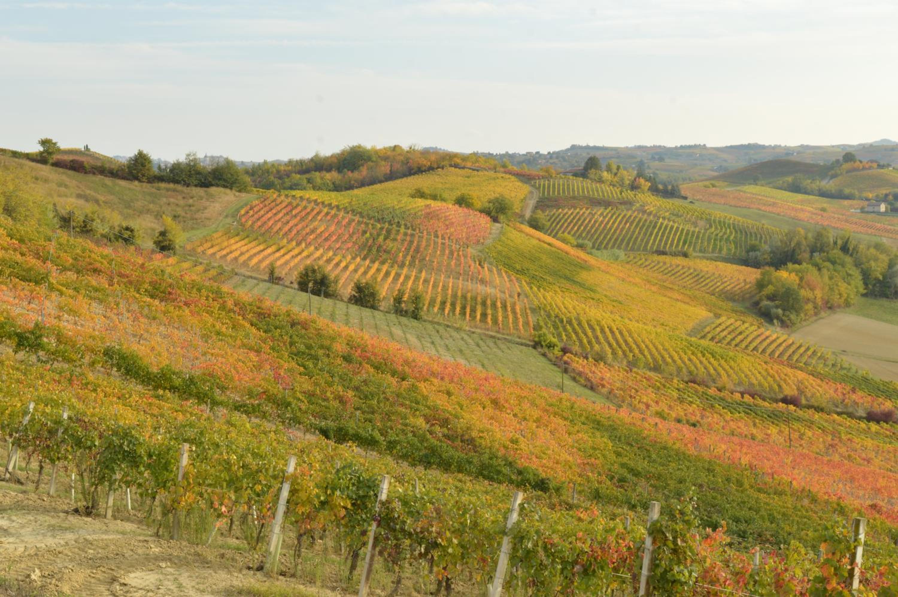 Bed & Tours Dimora di campagna