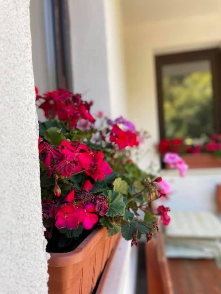 Kassandrova Guest House & Spa