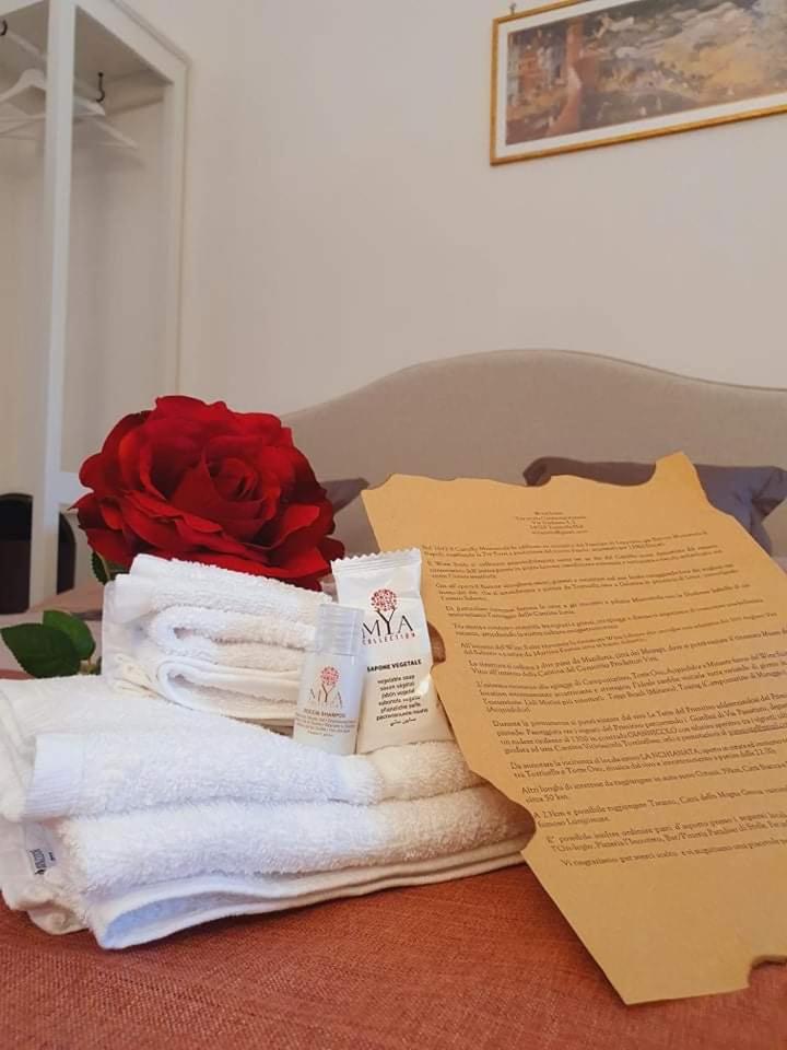 Wine Suite b&b