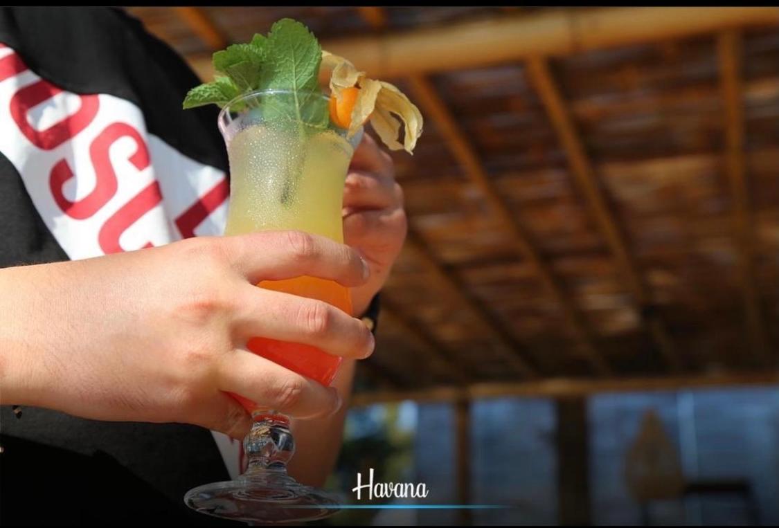 HAVANA HOUSE
