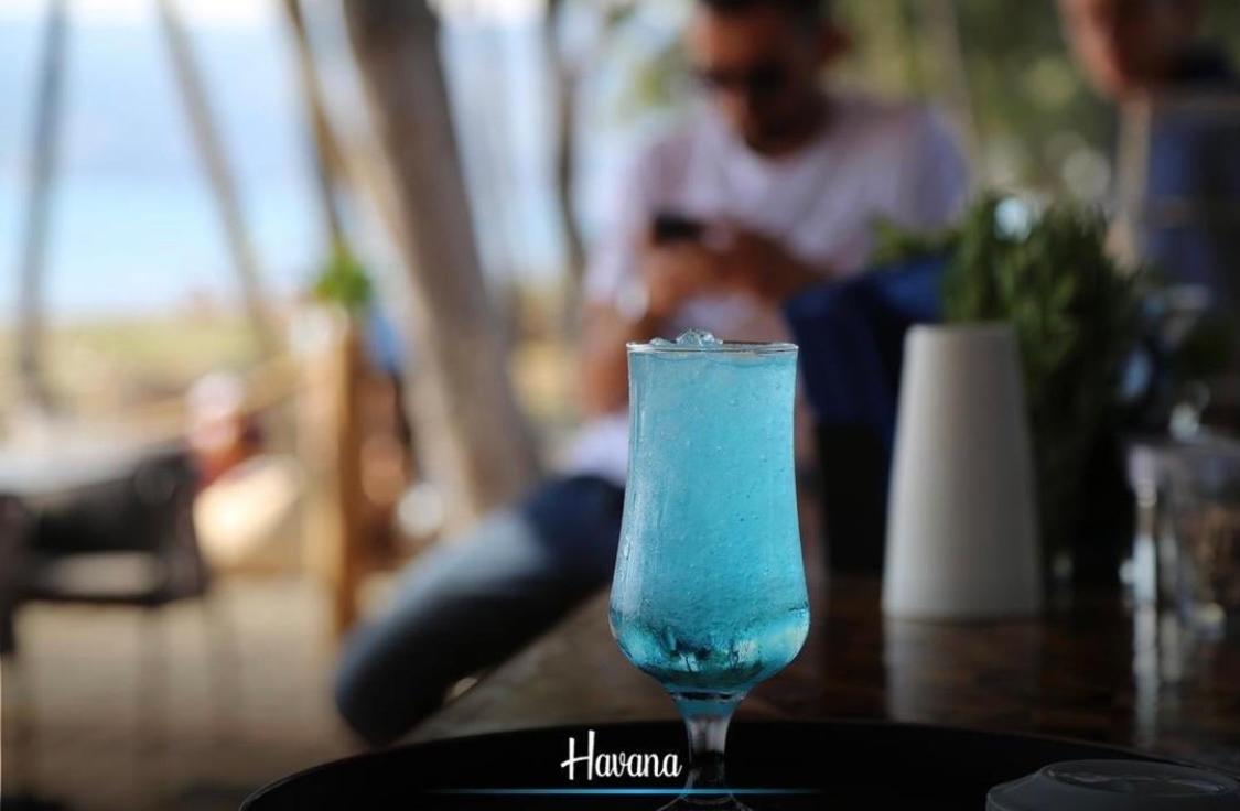 HAVANA HOUSE