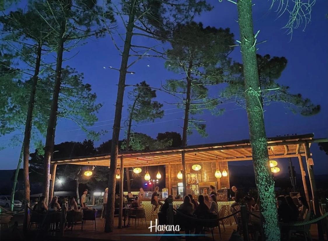 HAVANA HOUSE