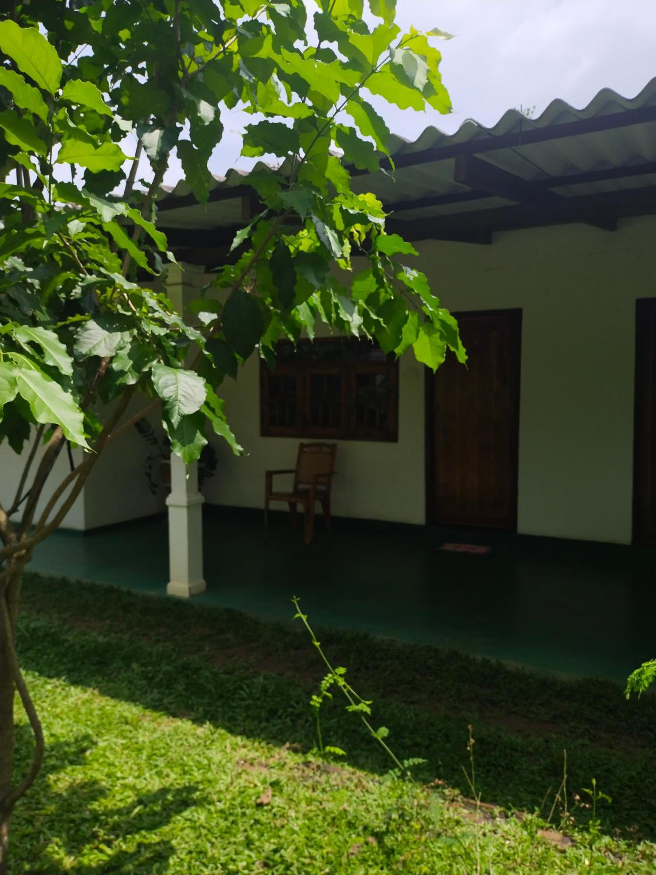 Photo 21
