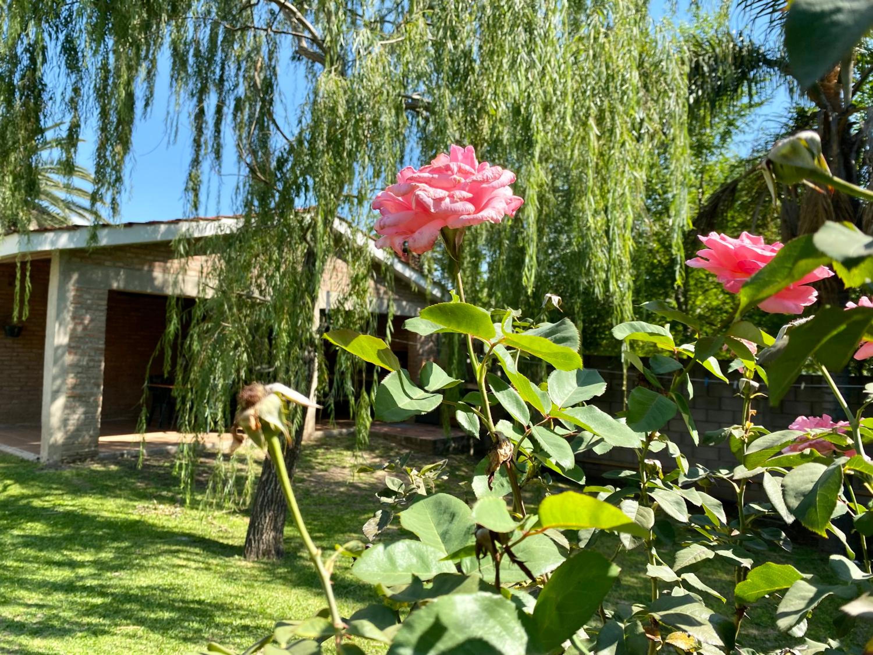 La Casa de Tita