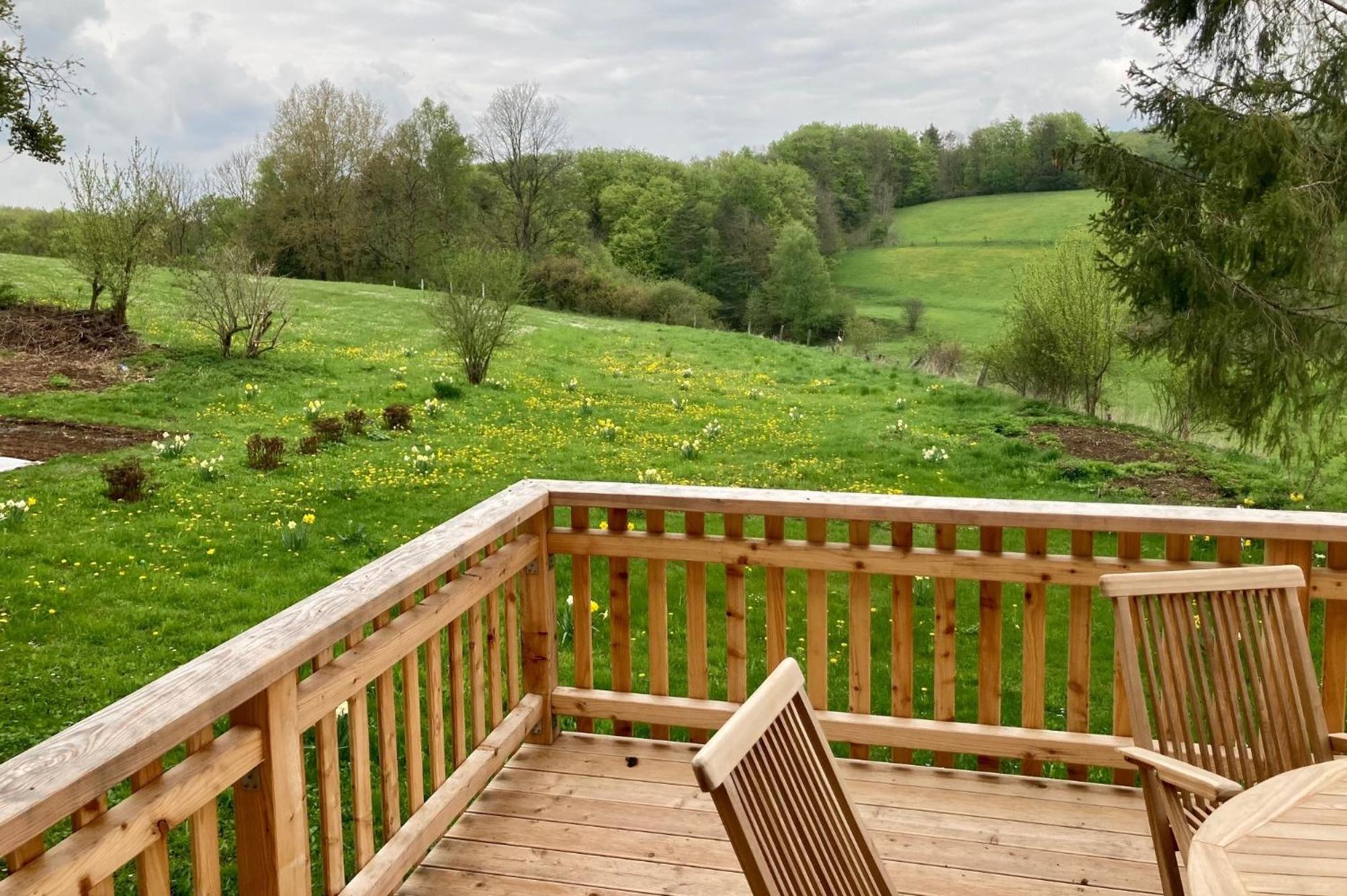 Forsthaus in Waldhessen view 5