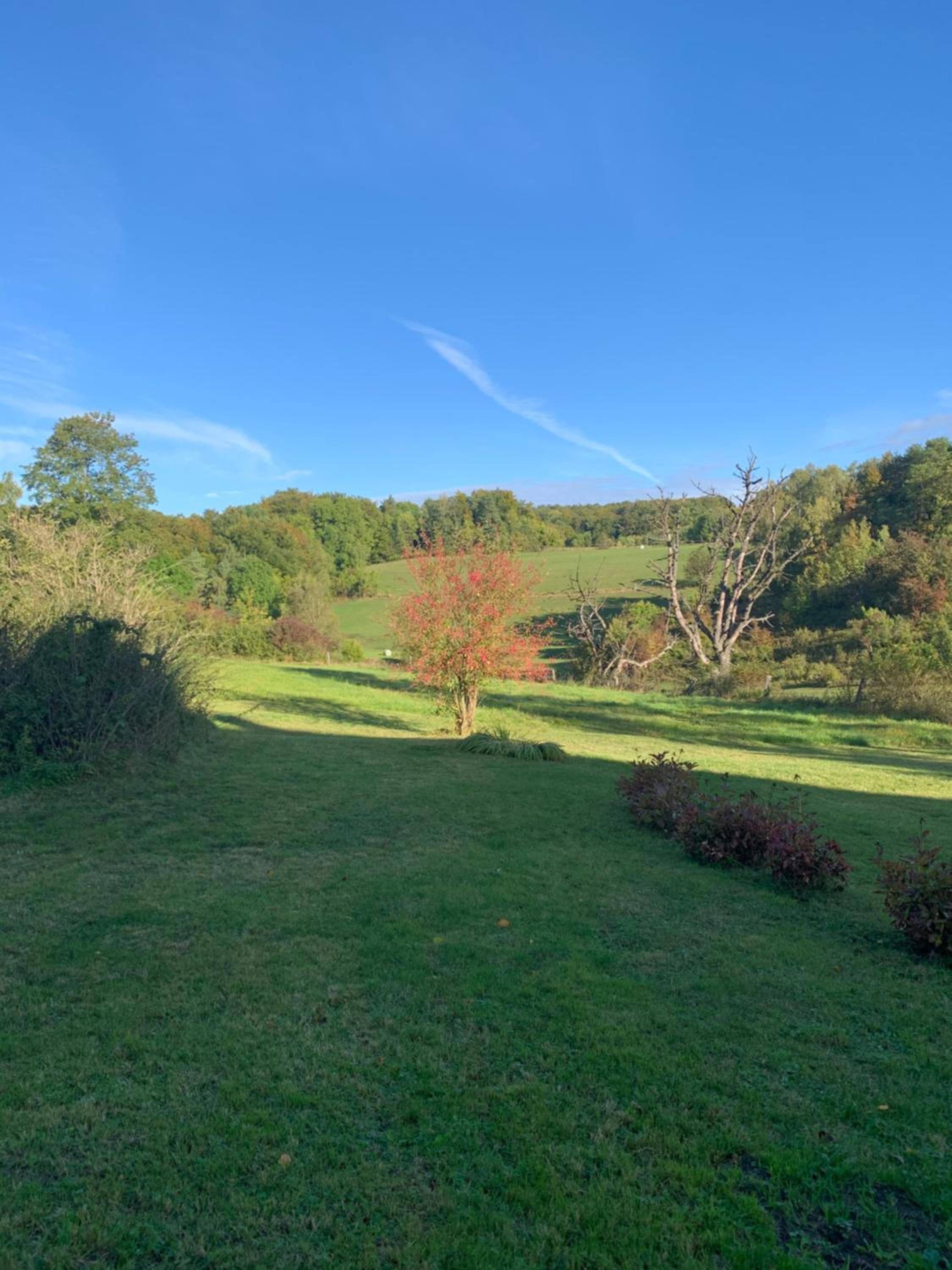Forsthaus in Waldhessen view 4