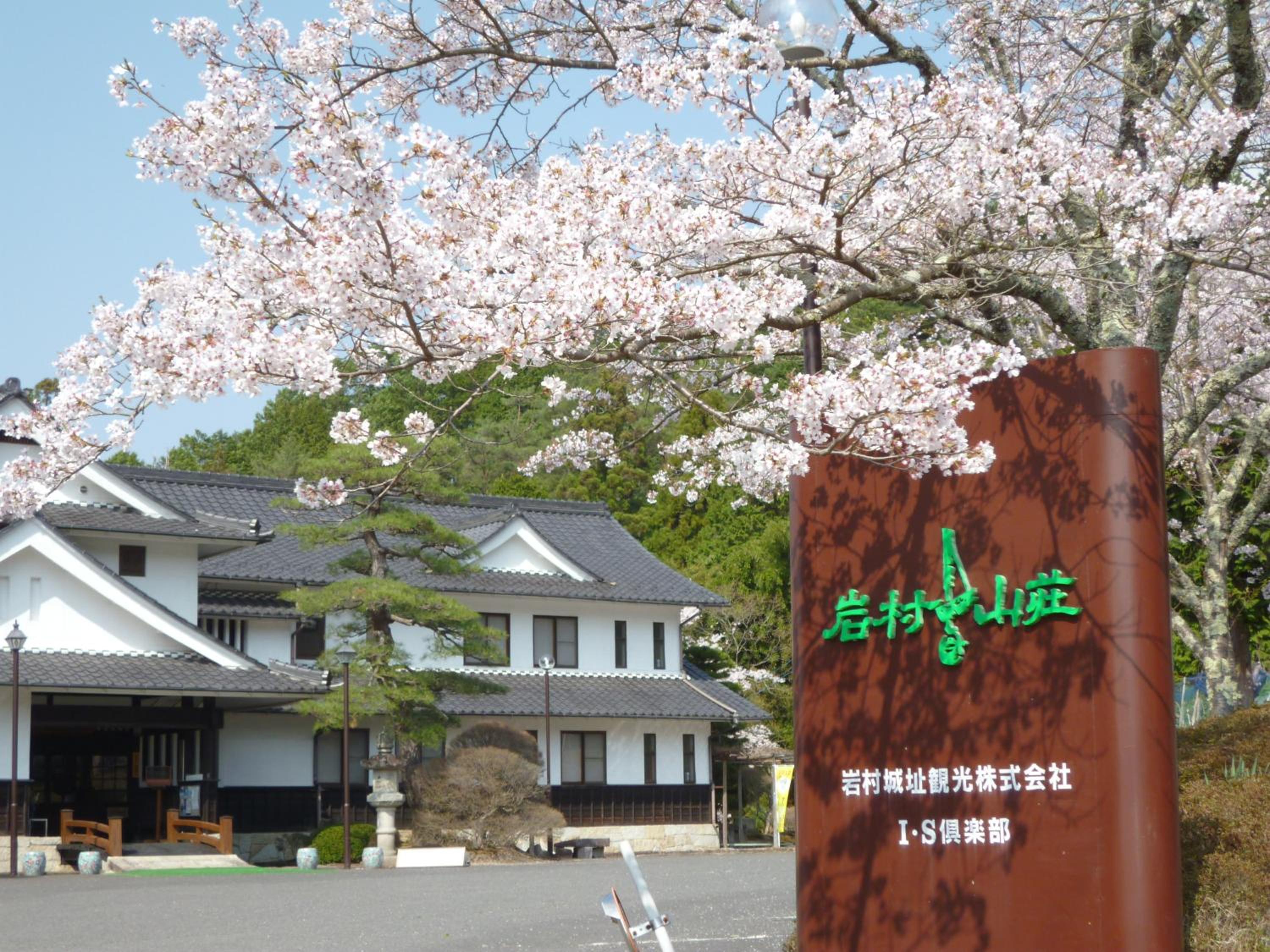 Photo 43