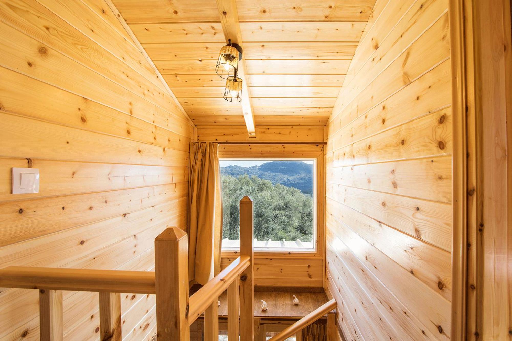 Romantic Tree House photo 5