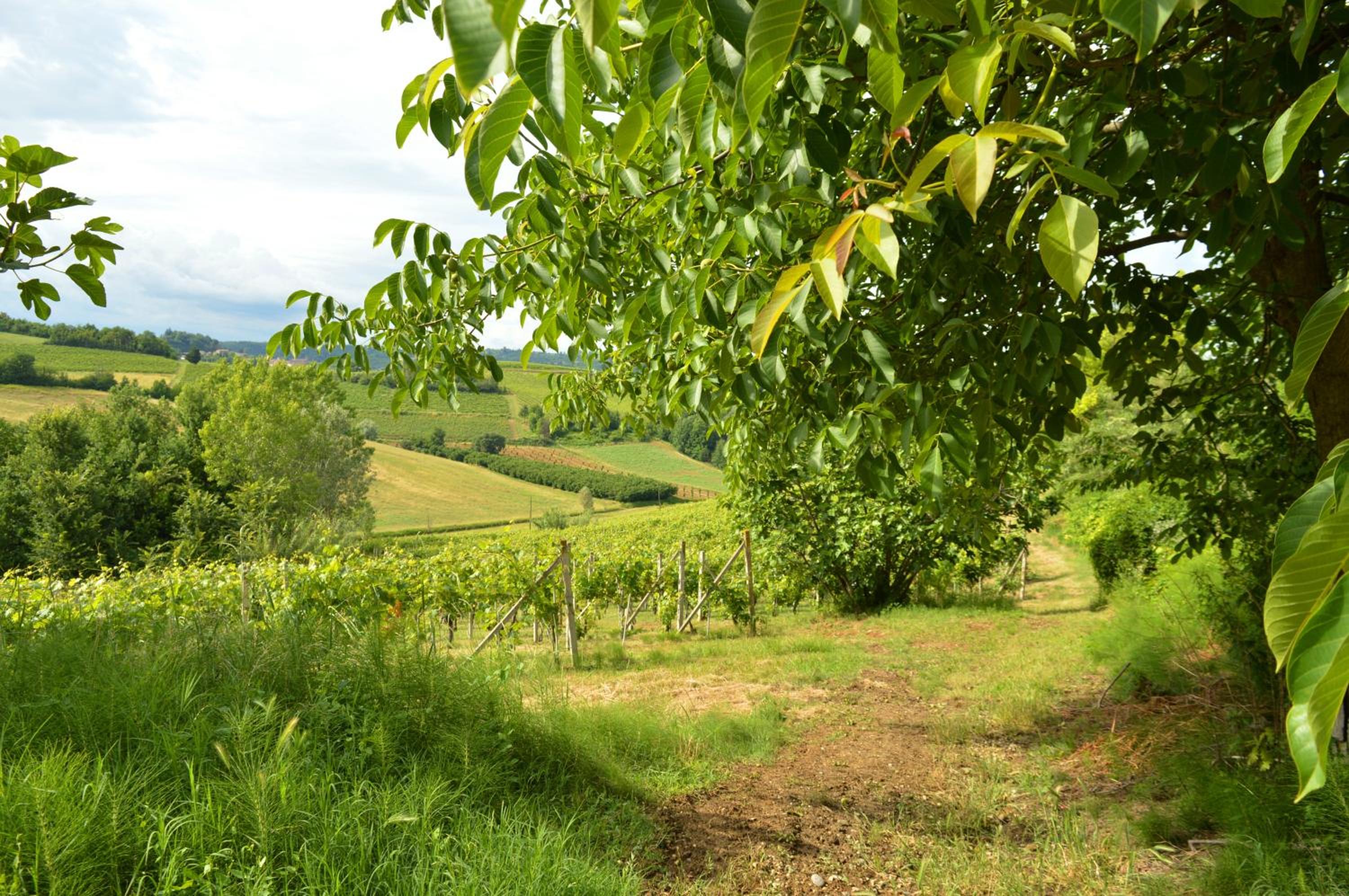 Bed & Tours Dimora di campagna