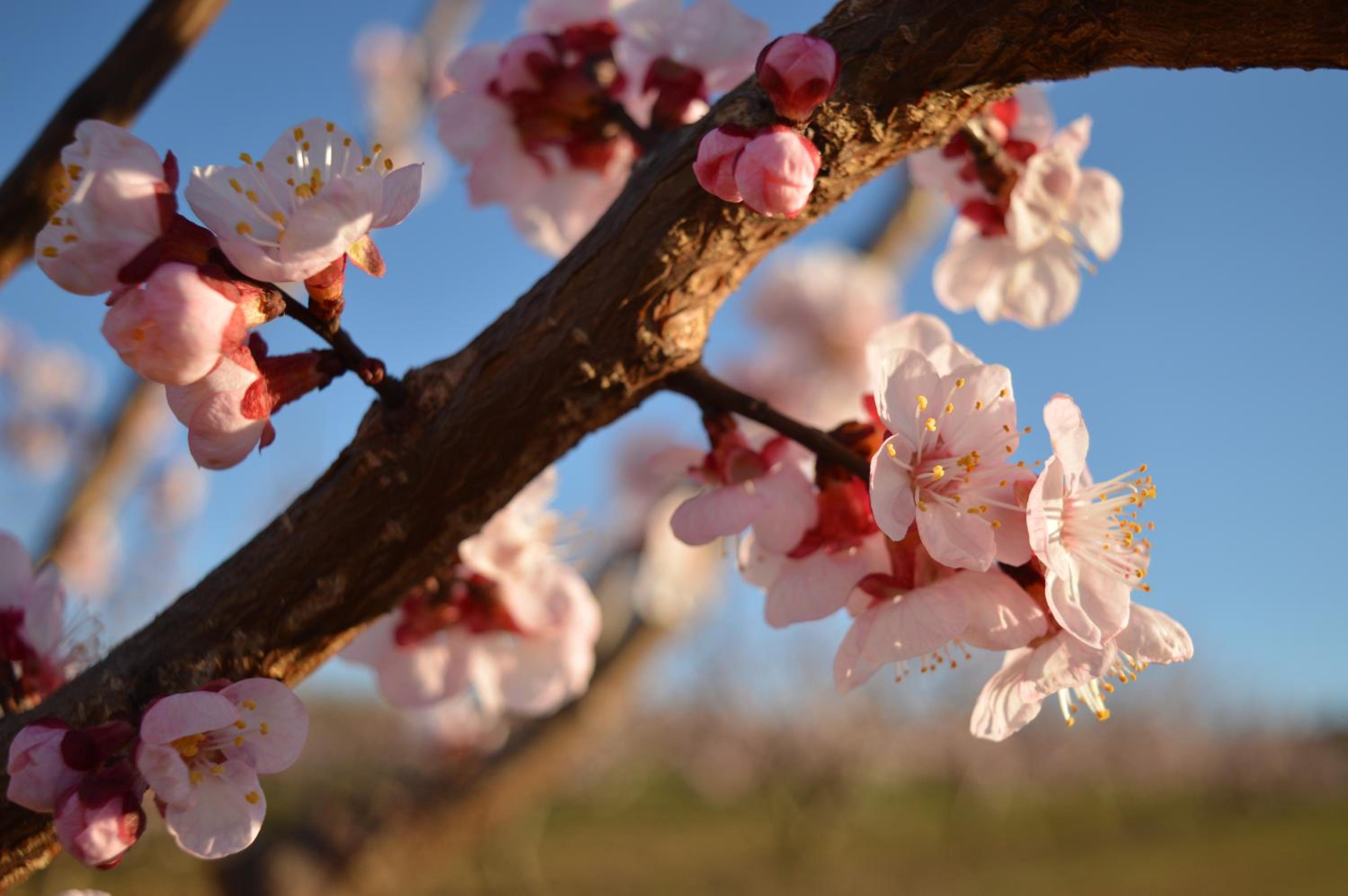 Bed & Tours Dimora di campagna