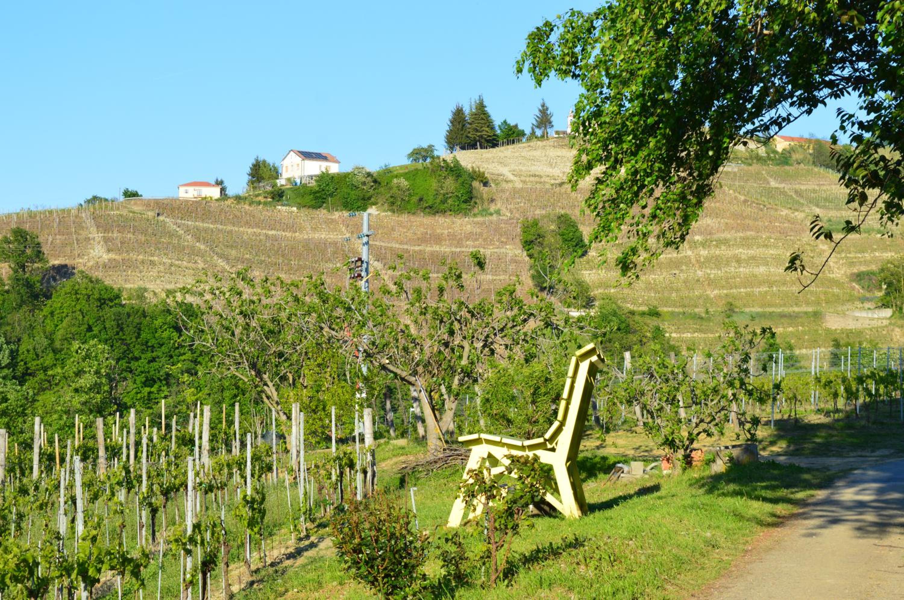 Bed & Tours Dimora di campagna