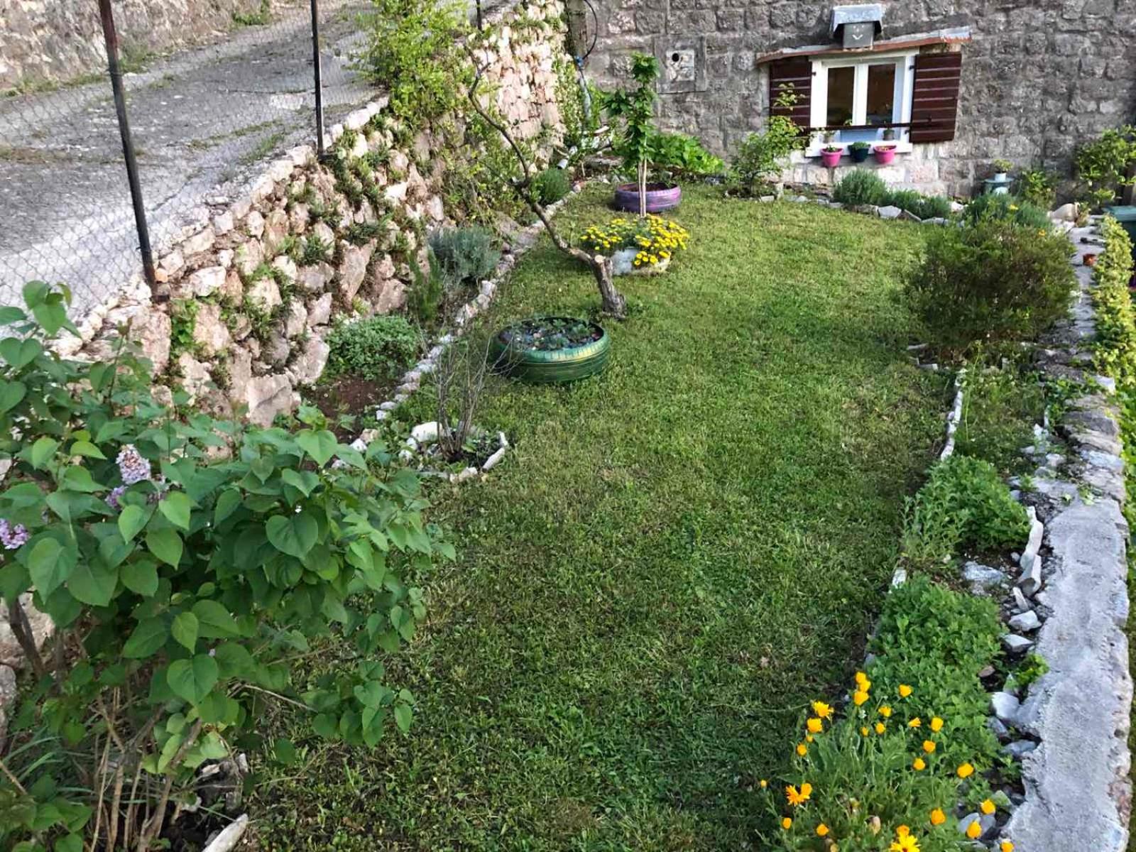 Photo 11