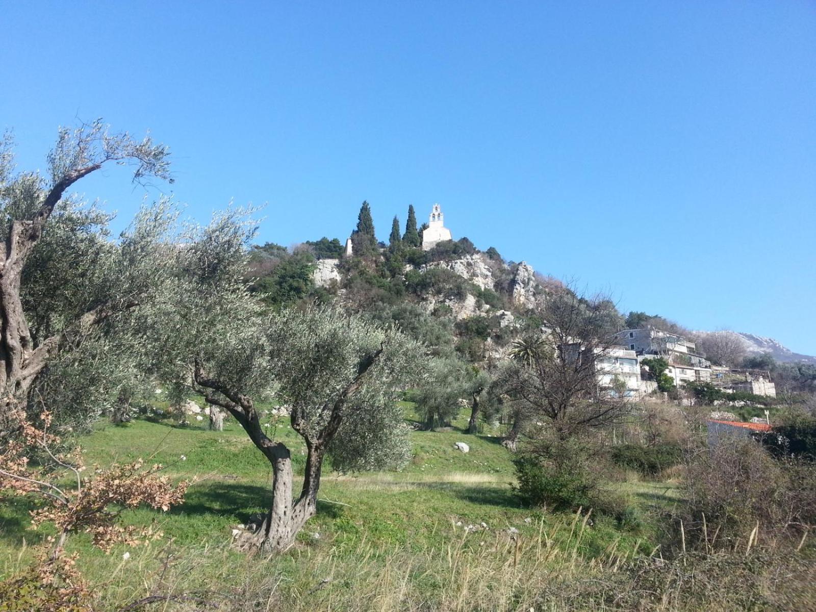 Photo 26