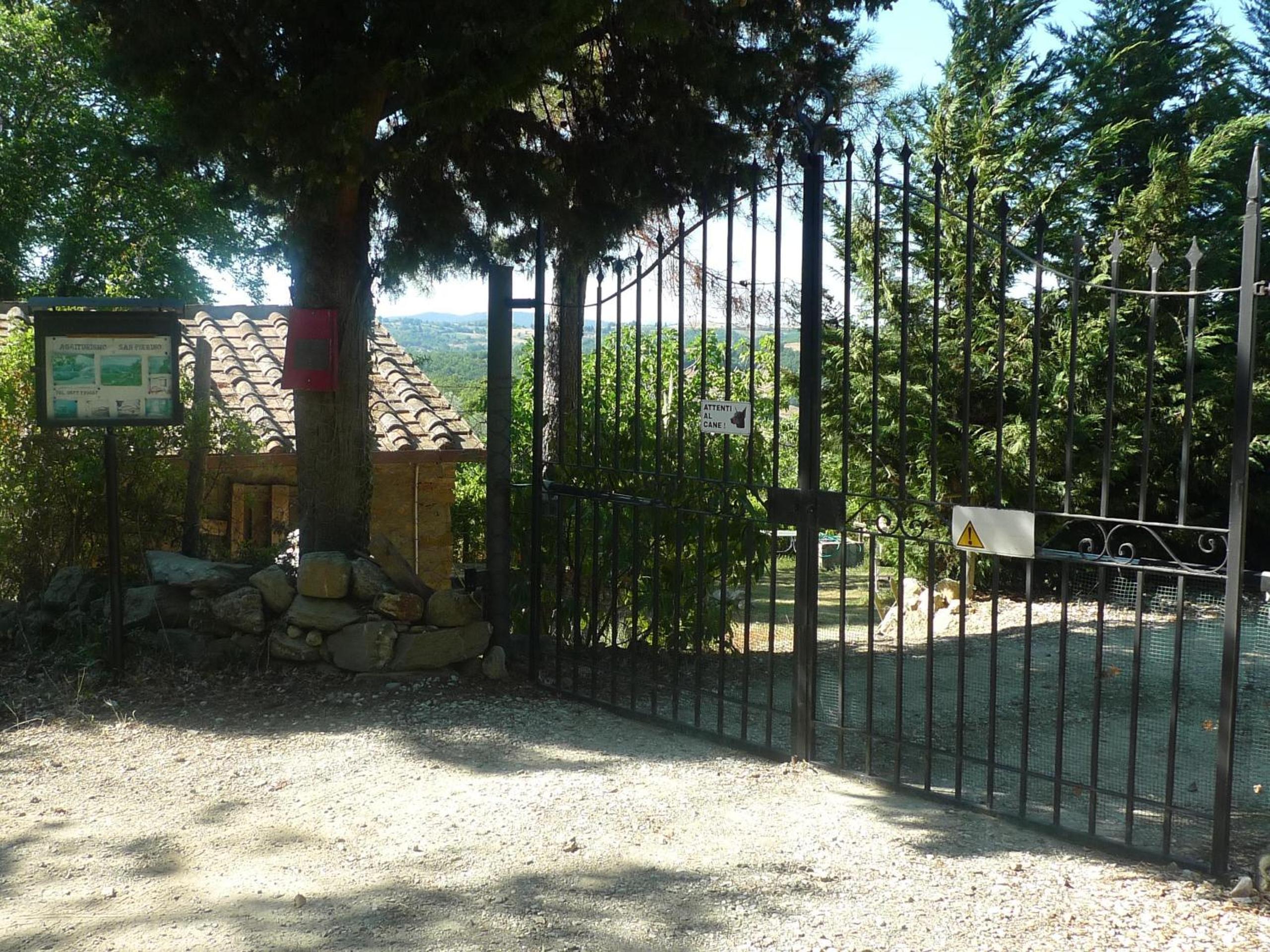 Photo 11