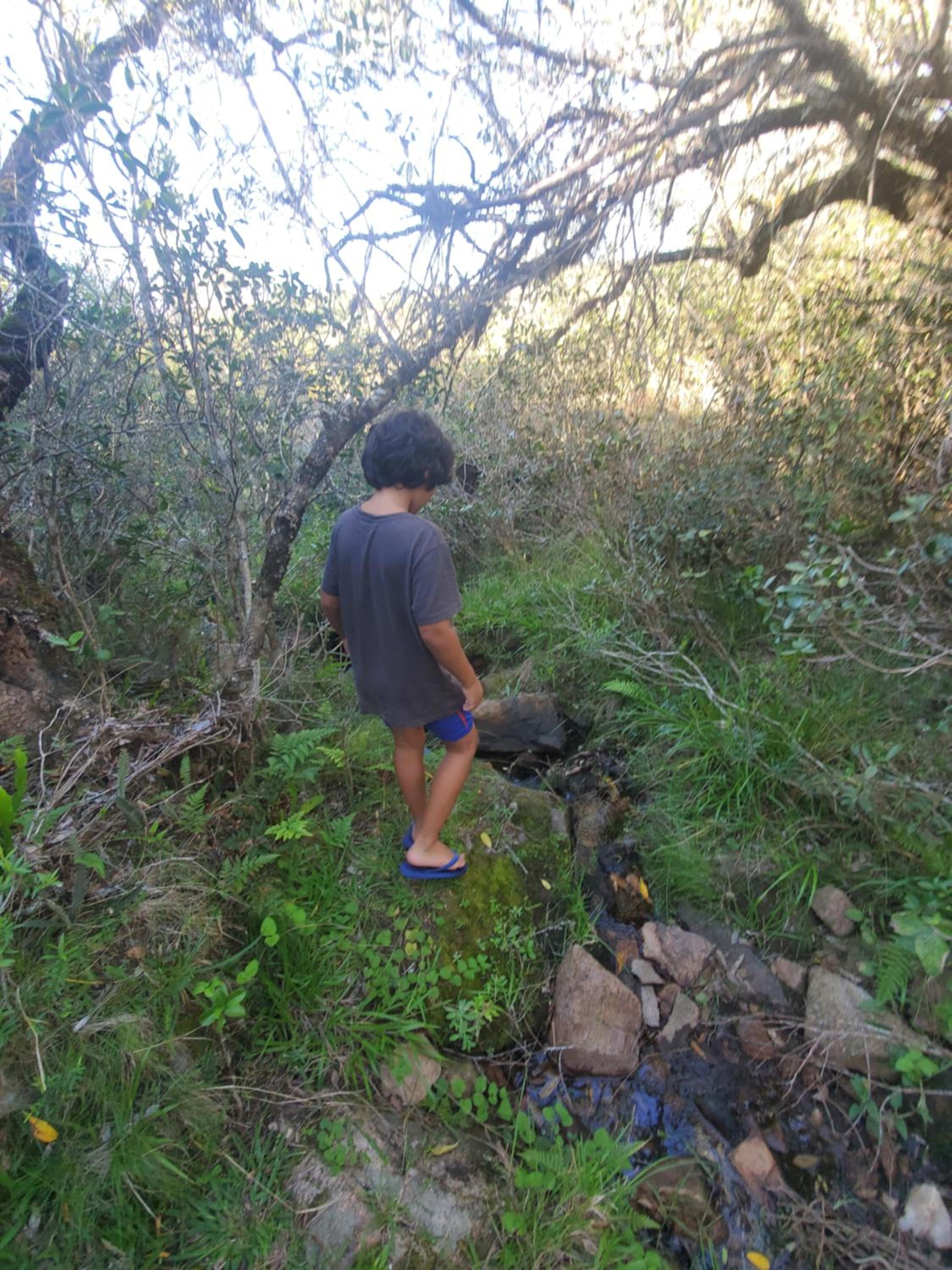 Photo 62