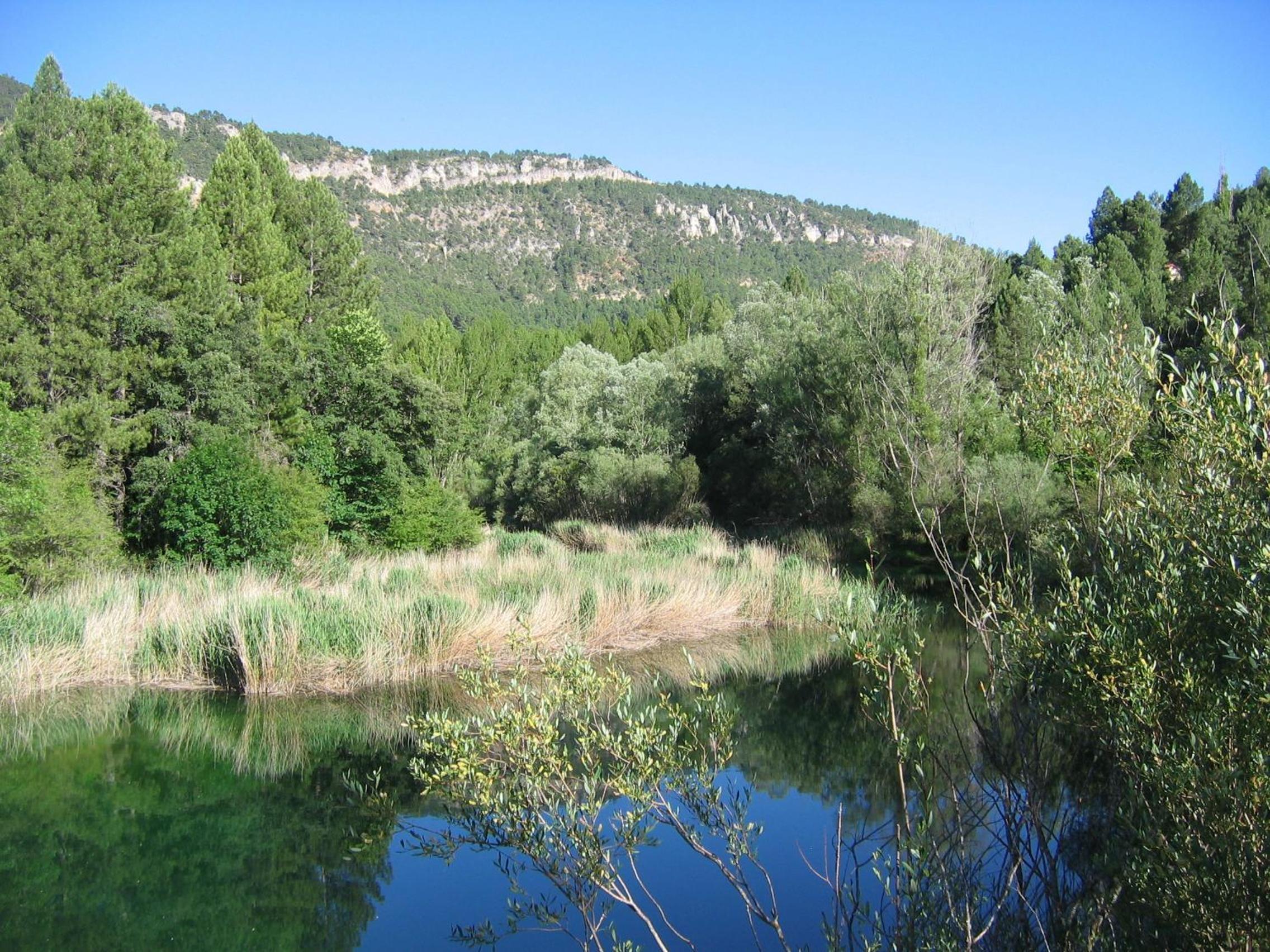 Photo 25