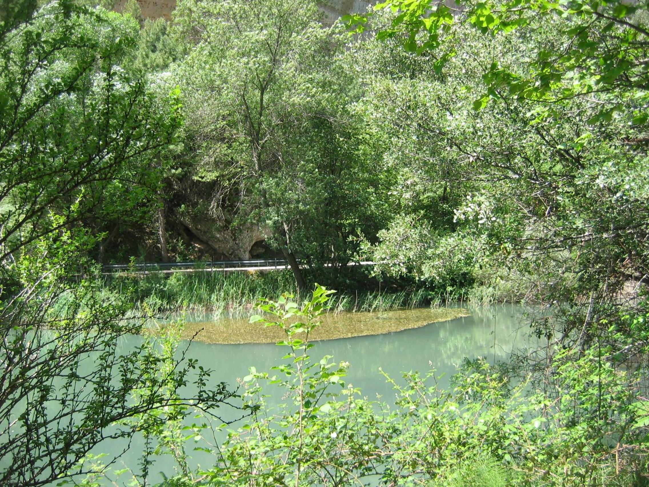 Photo 20