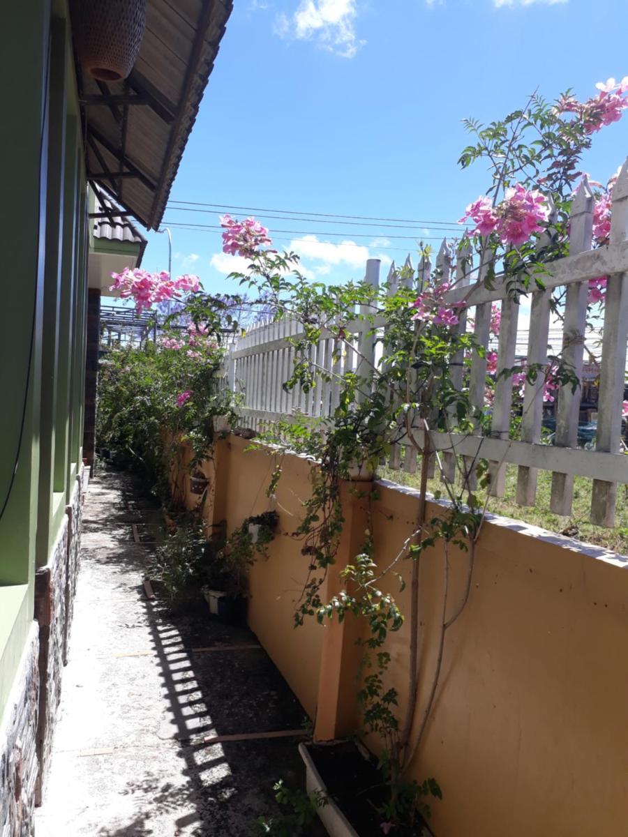288Villa view 4