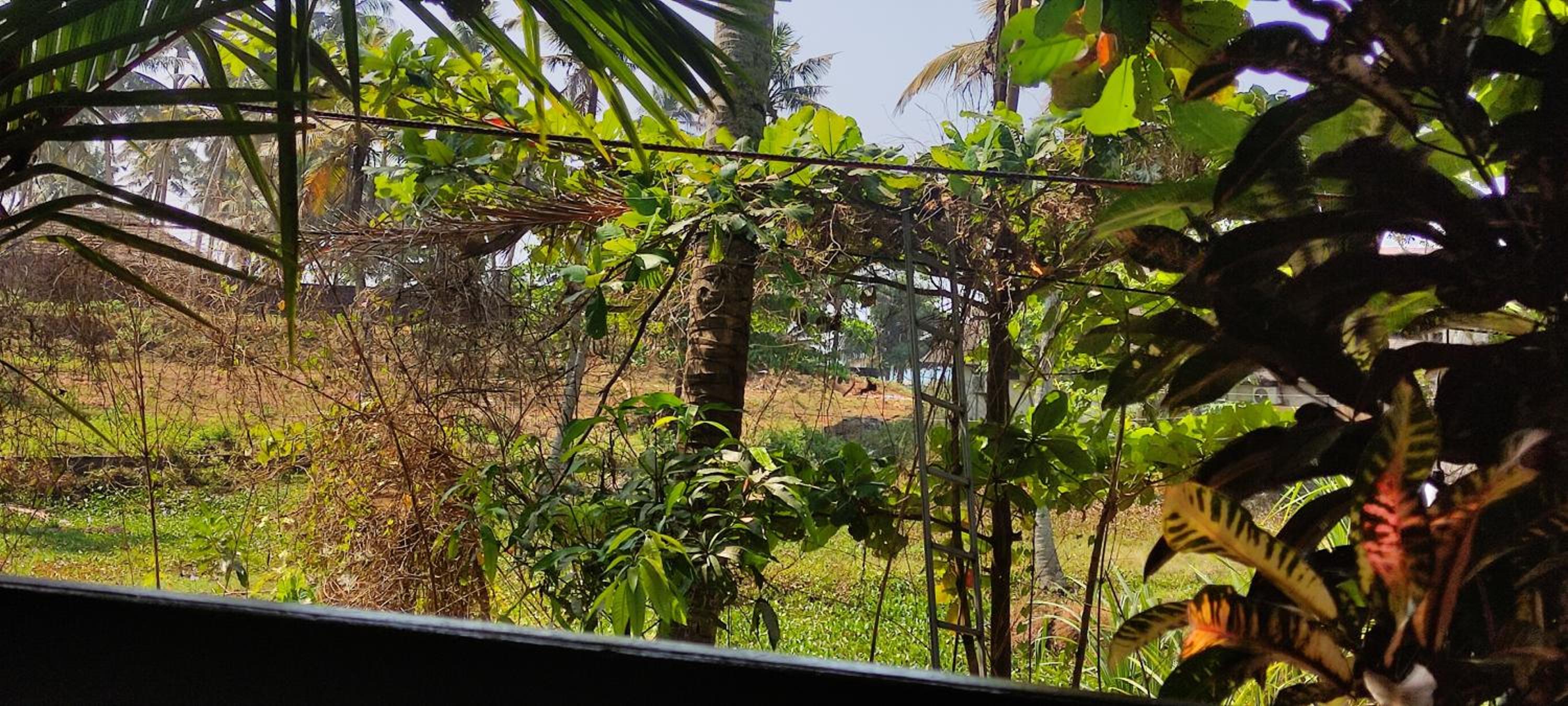 Sandra eco view 2