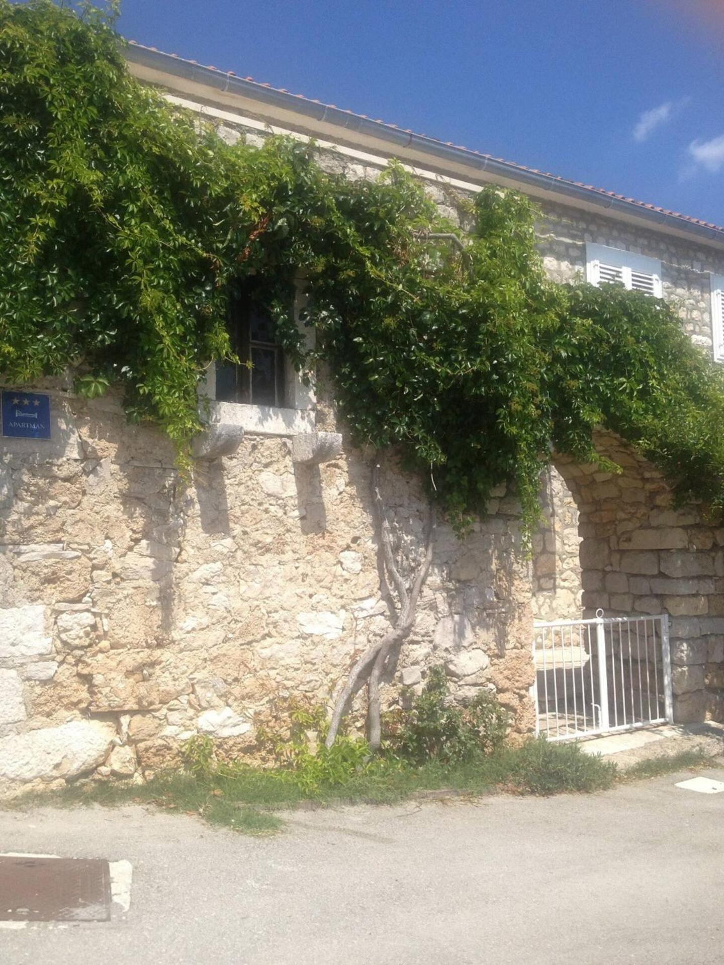 Photo 26
