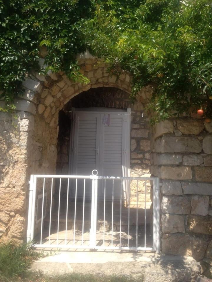 Photo 51