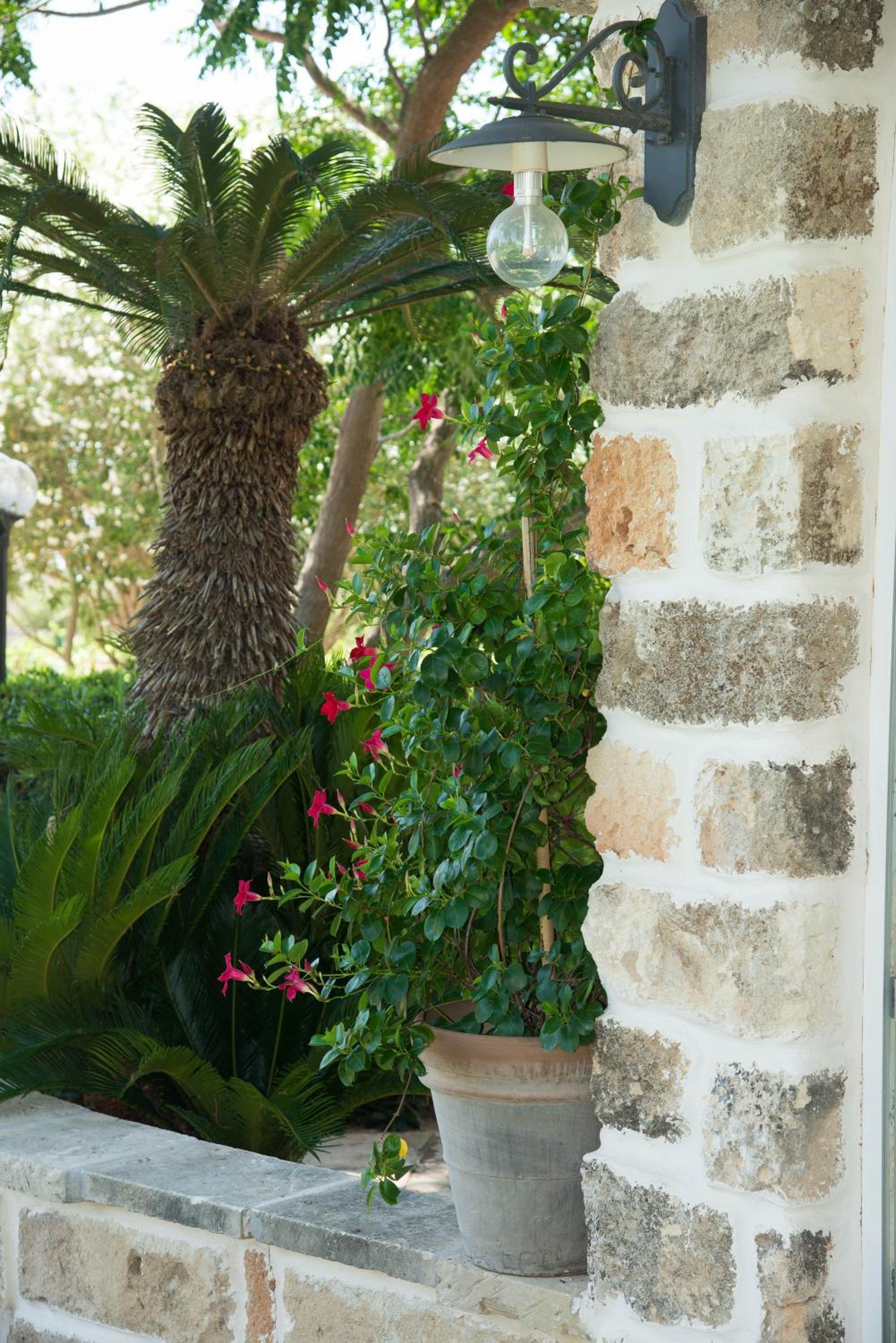Dimora Del Duca coyntry Lecce, masseria b&b