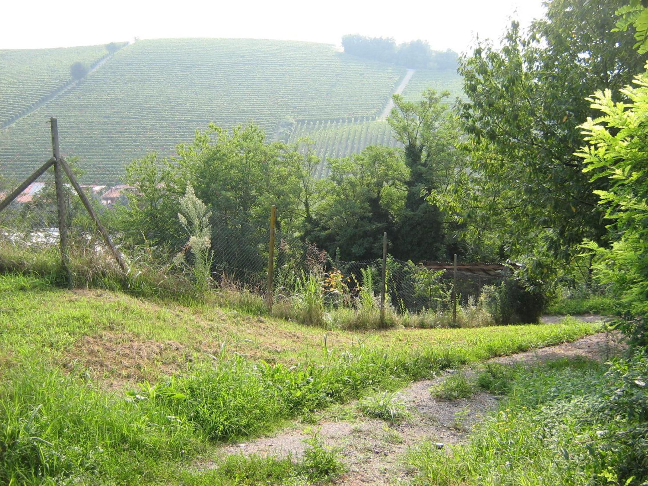 Il Borgo B&B