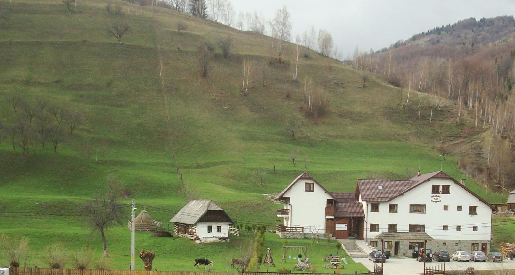 Photo 24
