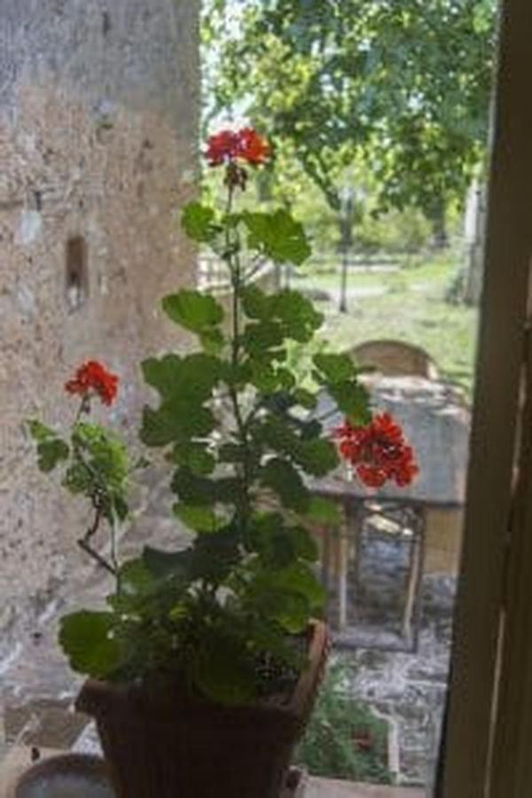 Agriturismo Poggio ai Legni, Billede 80
