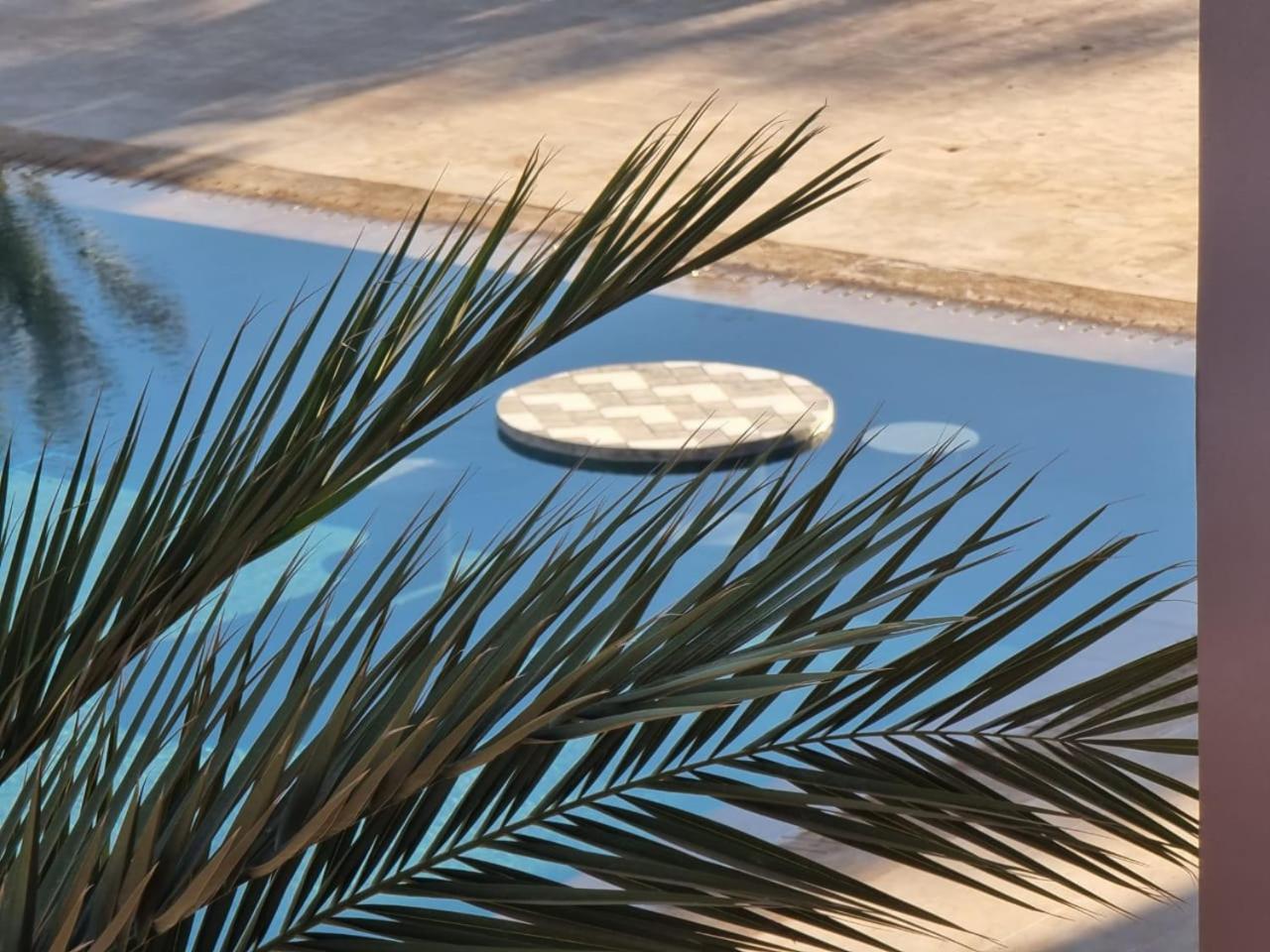 The Levantine view 5