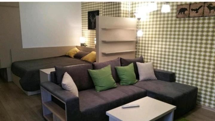 Apartament Aosta Central Sinaia view 3