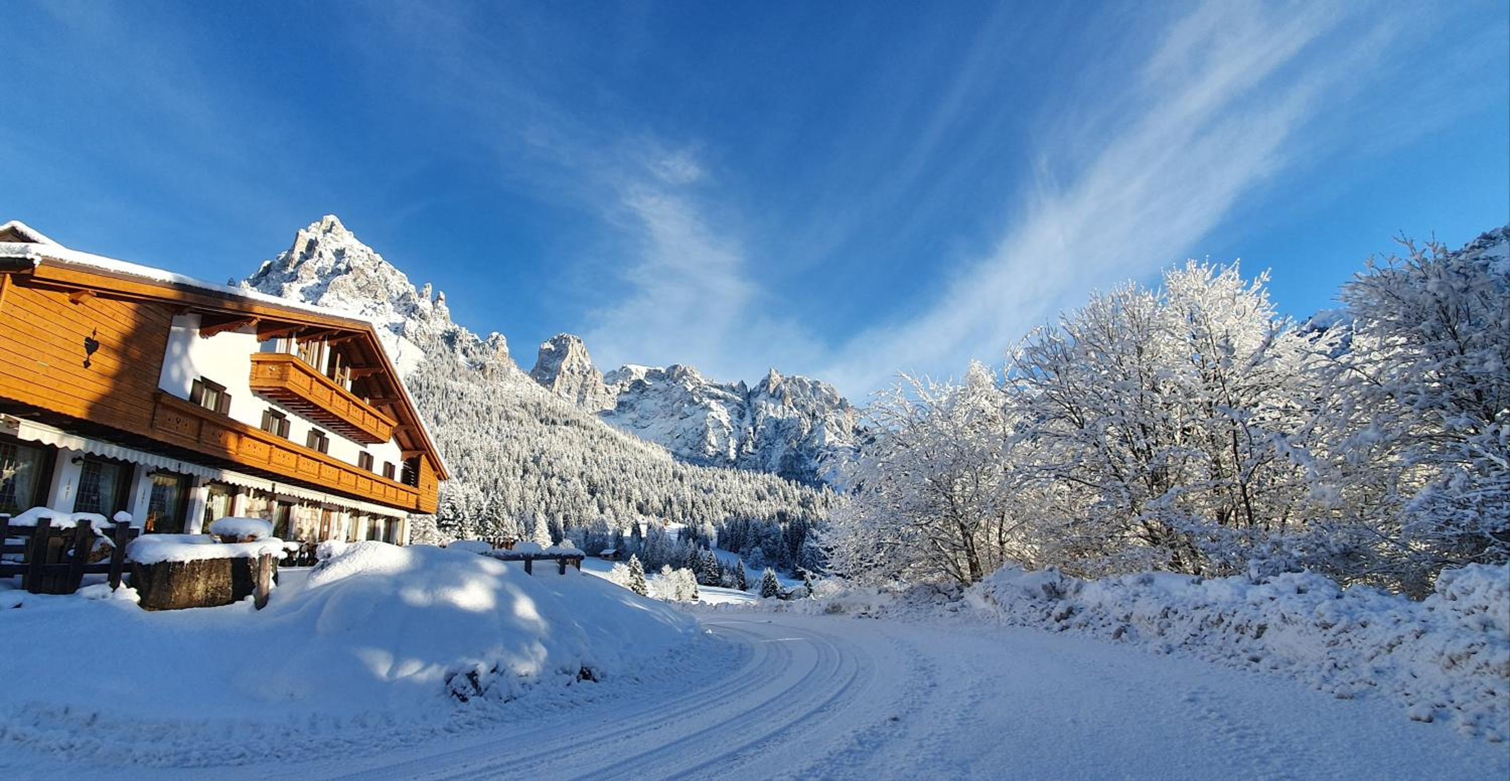 Chalet Piereni photo 2