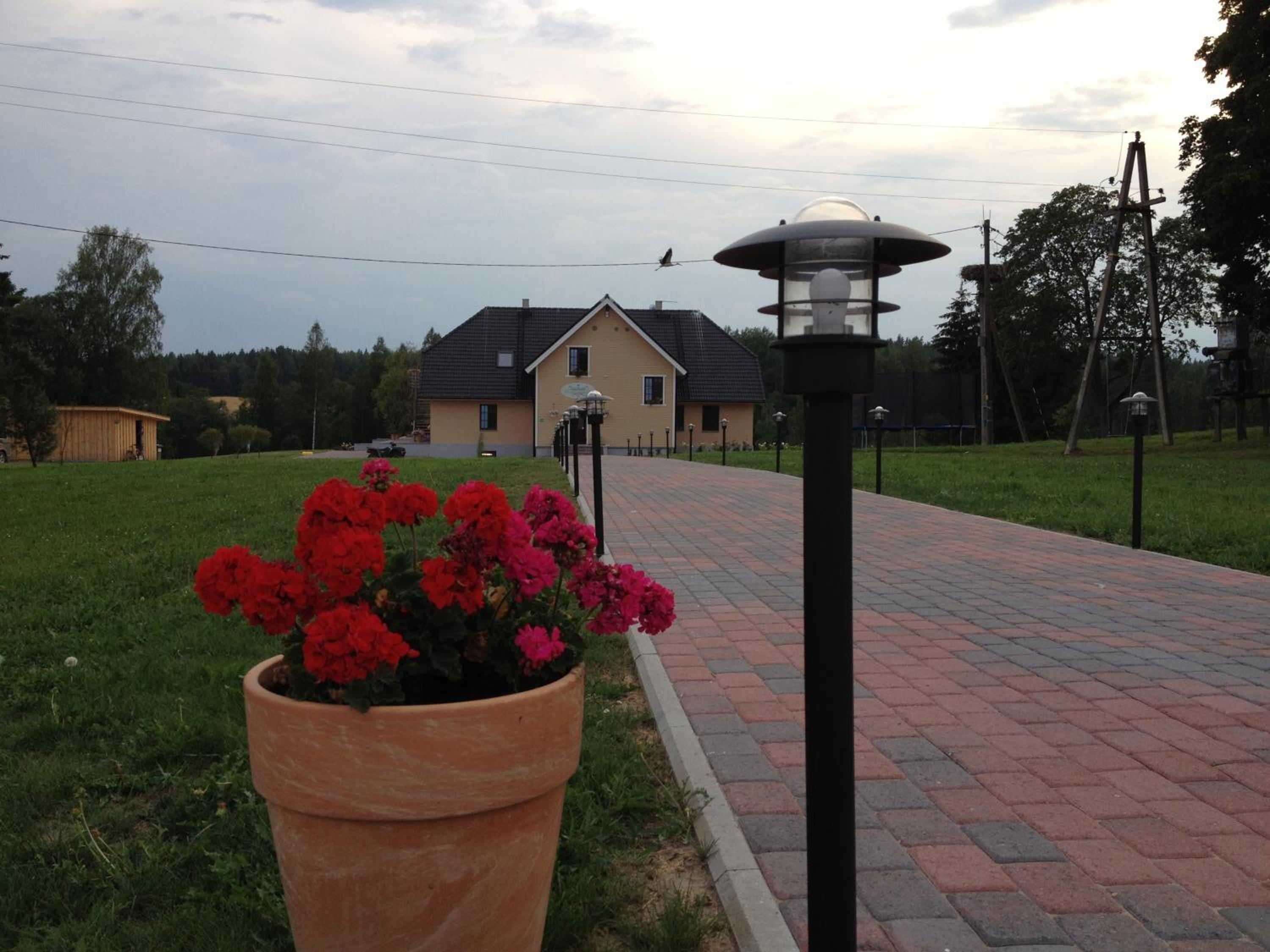 Photo 22