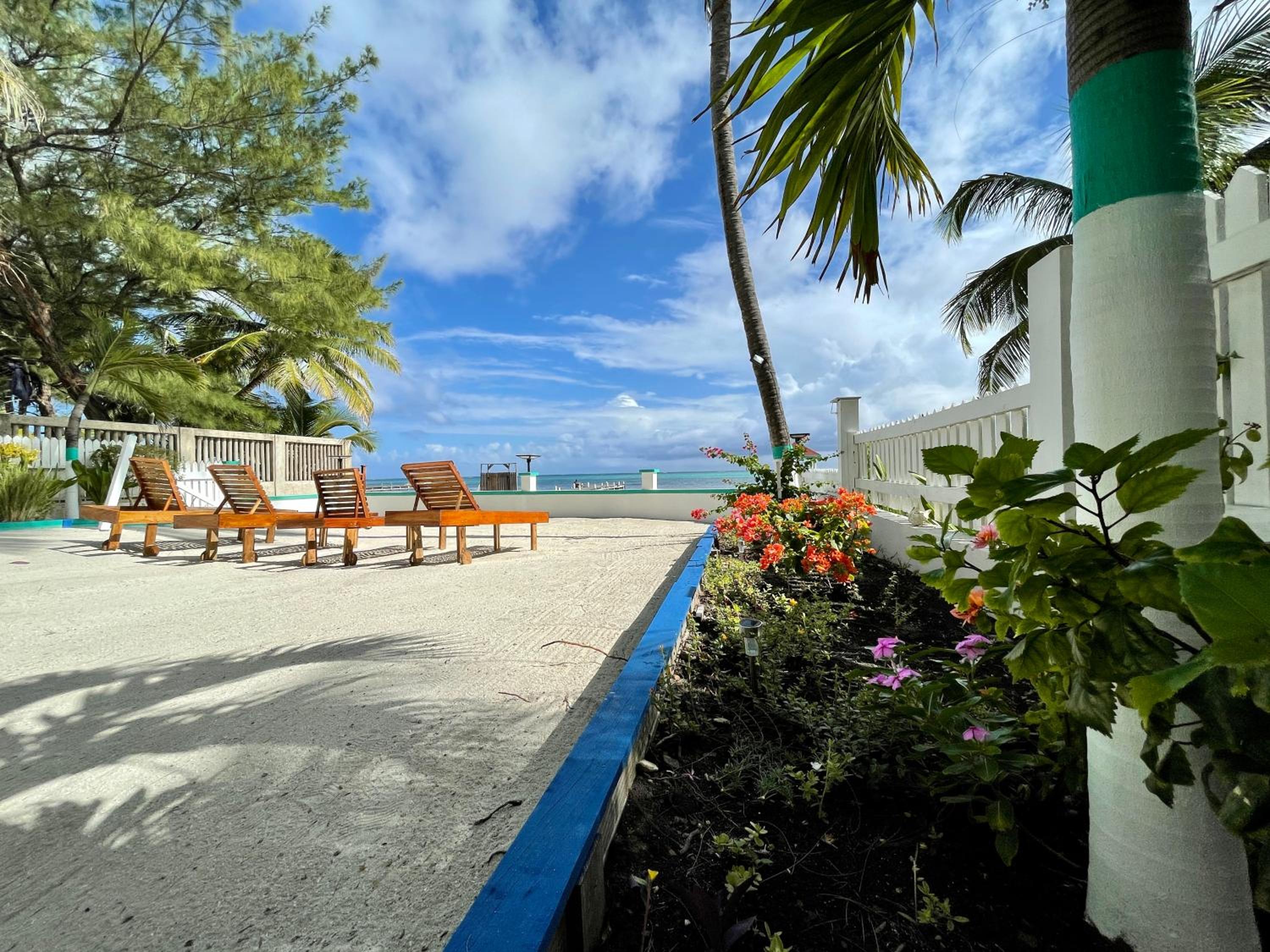 Belizian Reef Suites
