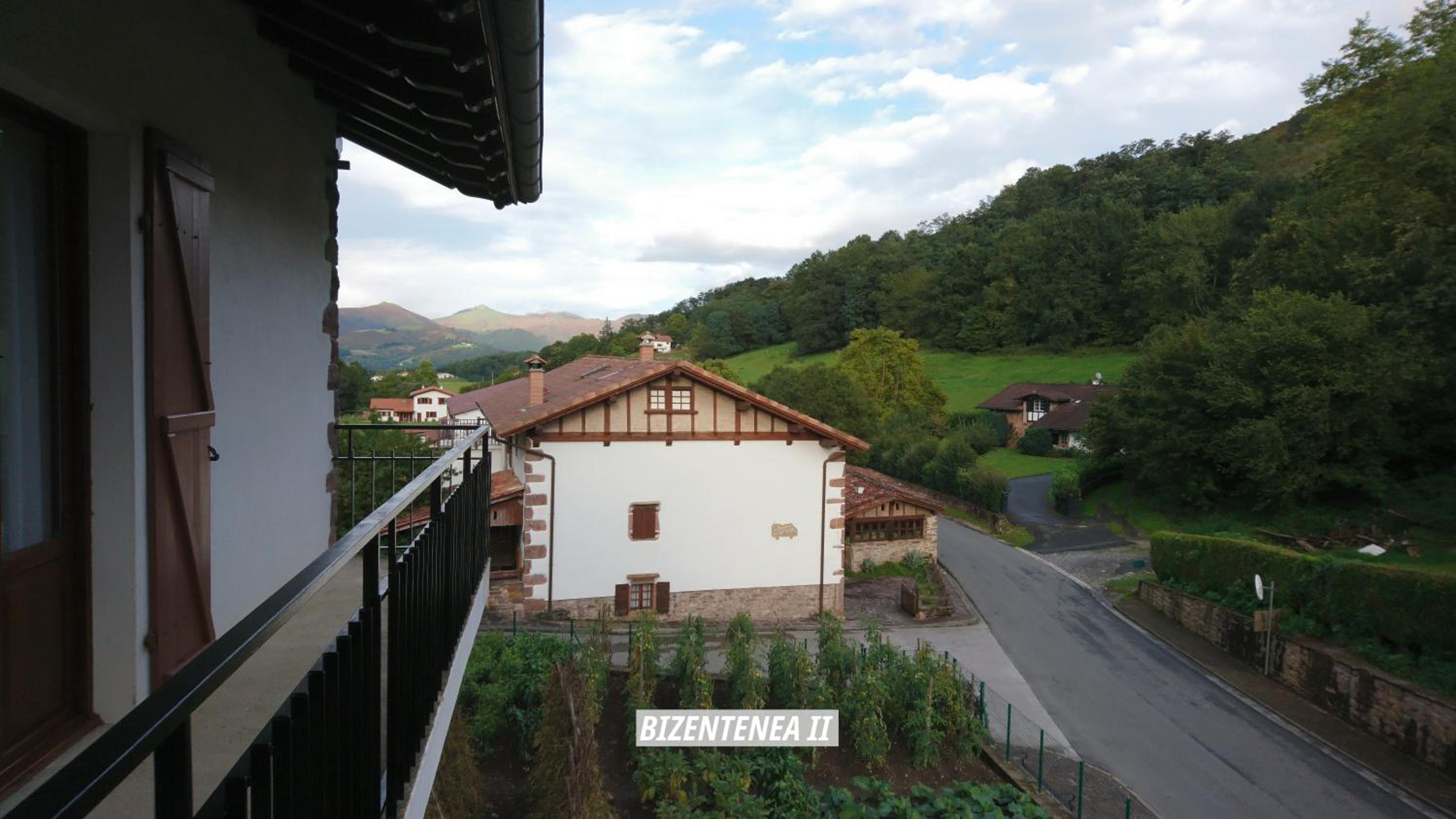 Photo 43