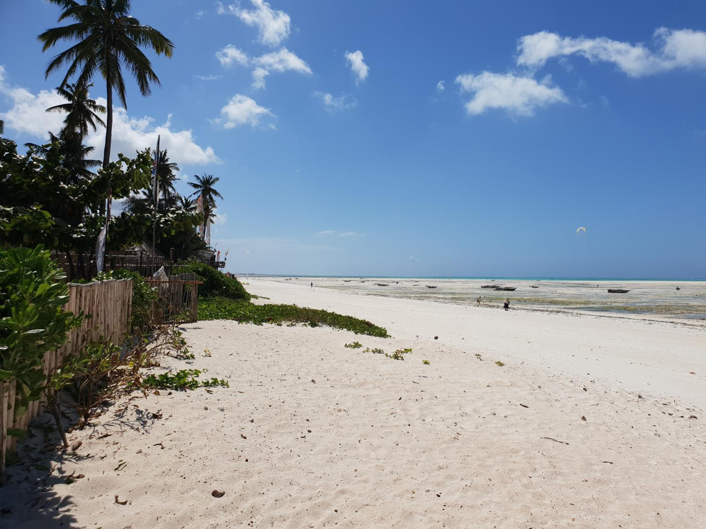 Mbaliparadise Guest Lodge PEMBA view 5