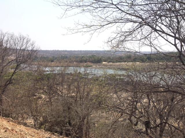 Photo 47