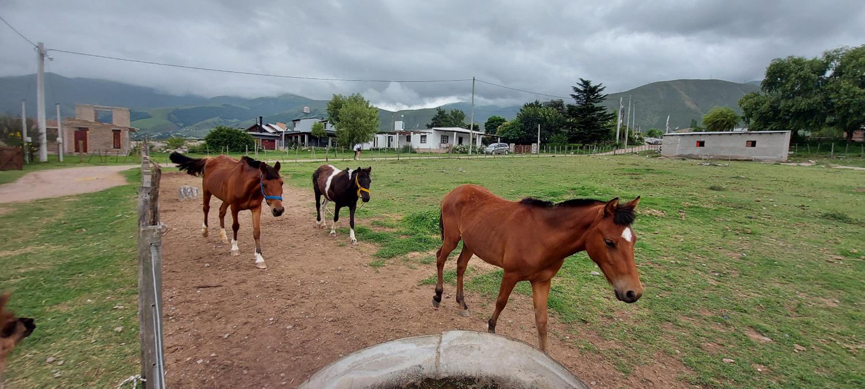 Aires de Tafi